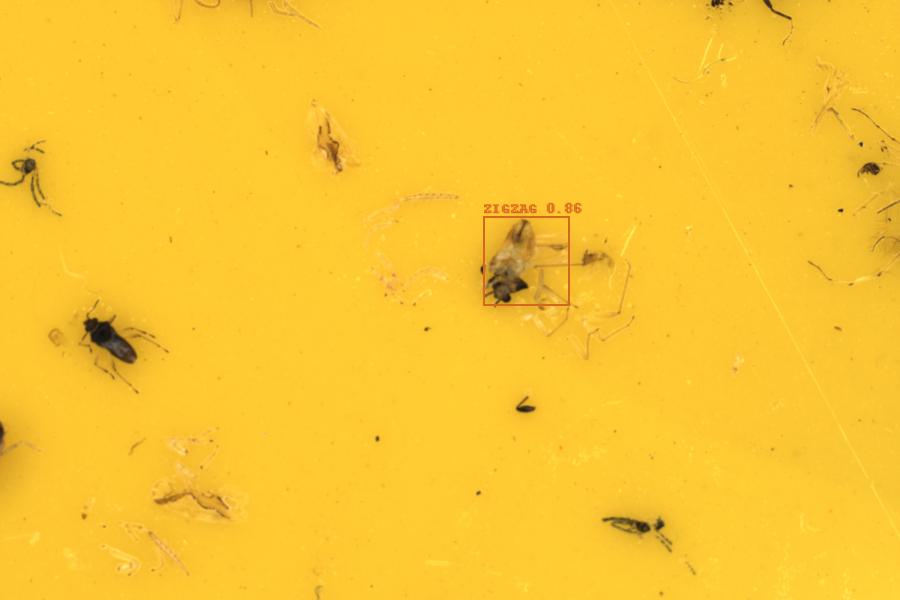 Image 36